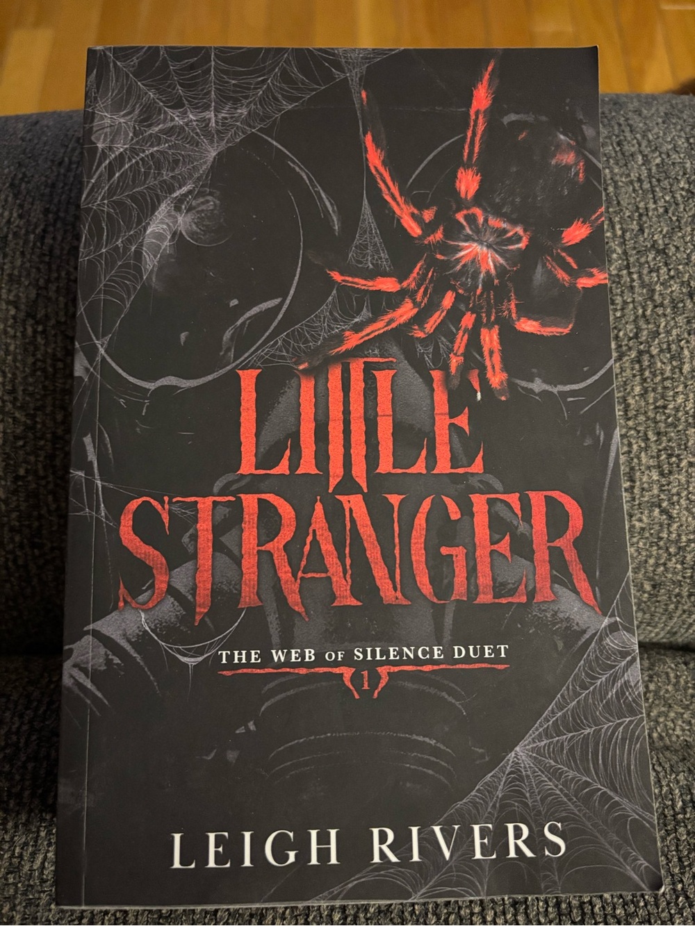 Little Stranger Book - Leigh Rivers